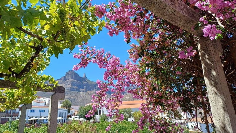 Gran Canaria: Highlights & hidden gems by 2 local guides - Practical Details and Considerations