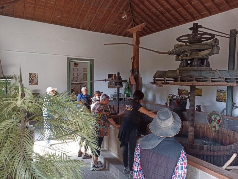 Gran Canaria: Highlights Wine Tasting Tour & Shore Excursion - Itinerary and Activities