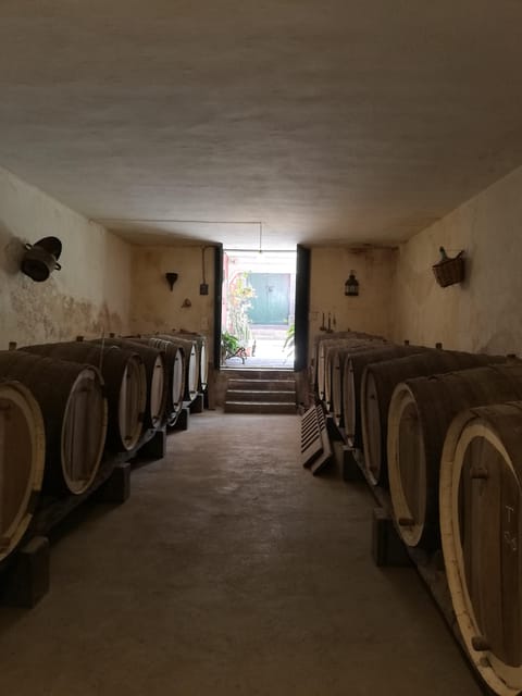 Gran Canaria: Highlights Wine Tasting Tour & Shore Excursion - Important Information