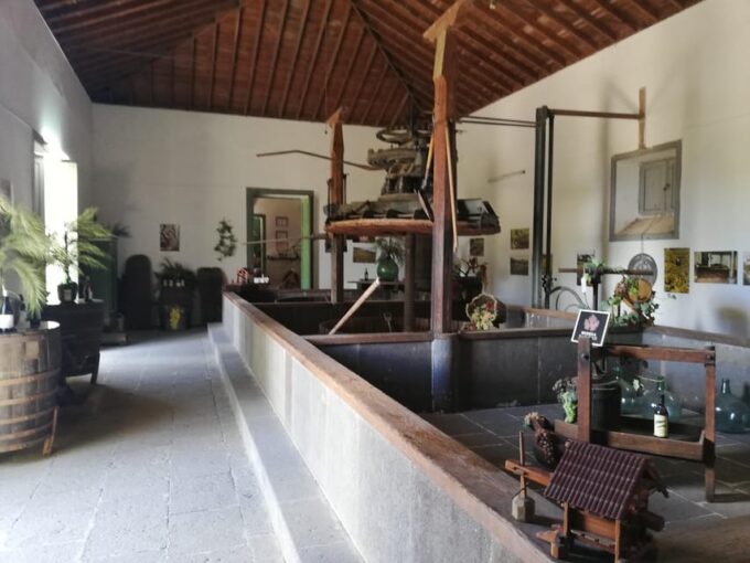 Gran Canaria: Highlights Wine Tasting Tour & Shore Excursion - Frequently Asked Questions