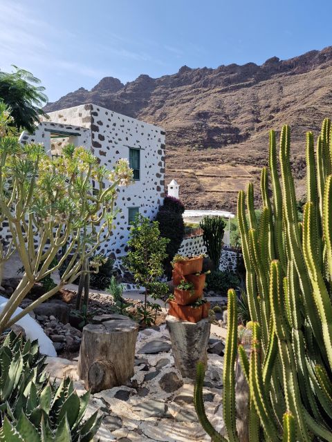 Gran Canaria Historical House With Mango Plantation - Explore the Canarian House Complex