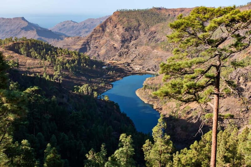 Gran Canaria: Island Highlights Tour with Optional Lunch - The Value of a Guided Experience