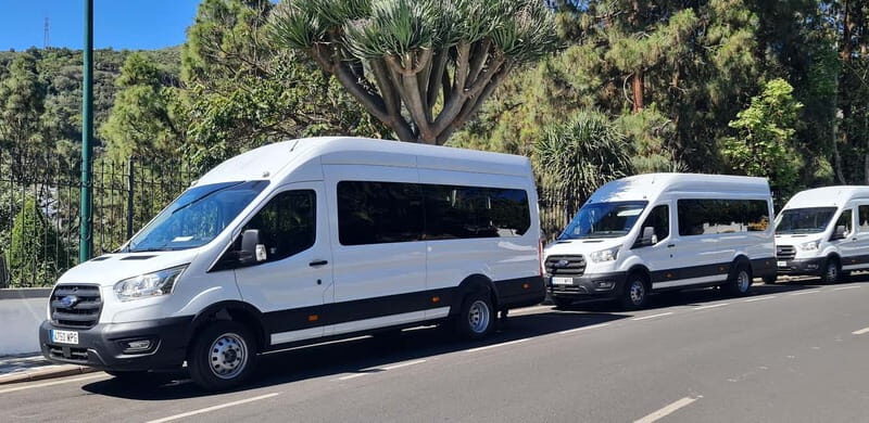 Gran Canaria: Island Highlights Tour with Optional Lunch - Authentic Experiences and Photos