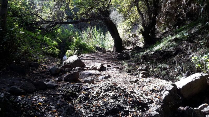 Gran Canaria: Magic Waterfalls Hiking Tour - Difficulty and Duration