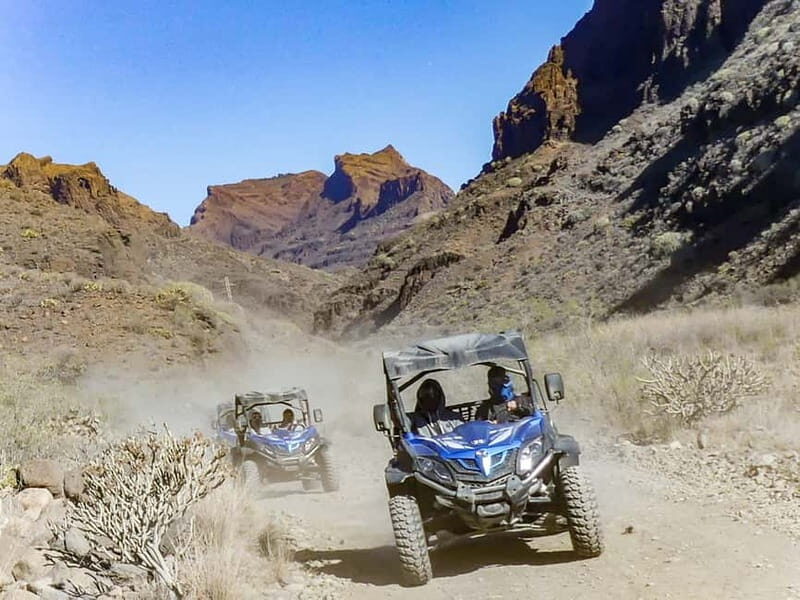 Gran Canaria: Off-Road Buggy Adventure in the Canyons - The Value for Money