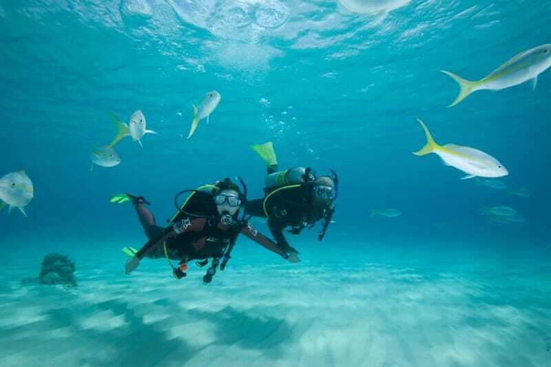 Gran Canaria: PADI Open Water Diver Course - An Introduction to the Experience