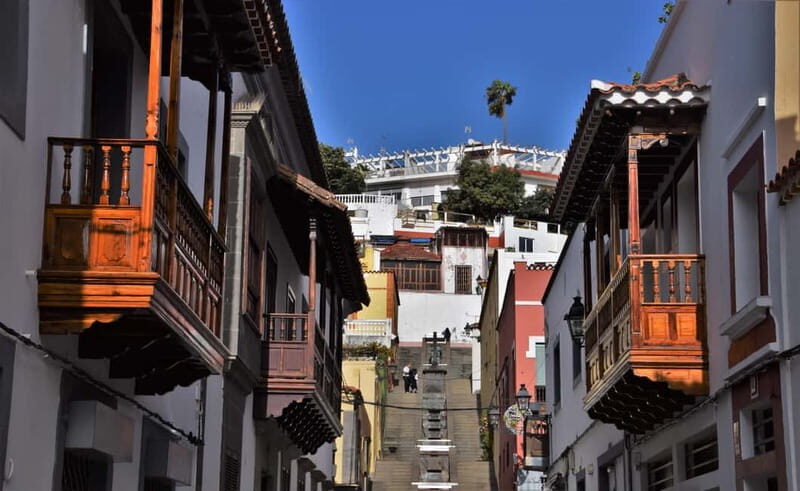 Gran Canaria Peaks in Minibus: Firgas, Teror, Aloe Vera tour - Who Should Take This Tour?