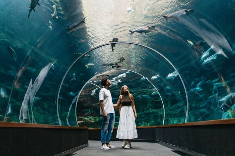 Gran Canaria: Poem of the Sea Skip-the-Line Ticket - Experience Highlights
