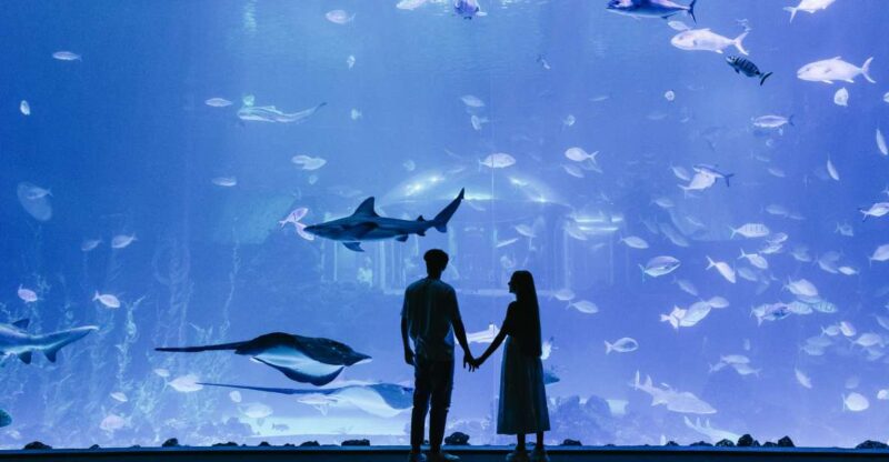 Gran Canaria: Poem of the Sea Skip-the-Line Ticket - Accessibility and Amenities