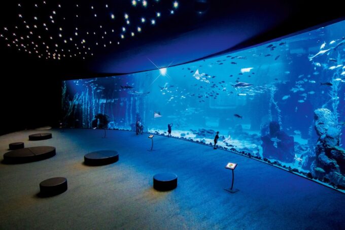 Gran Canaria: Poem of the Sea Skip-the-Line Ticket - Observing Ocean Depths