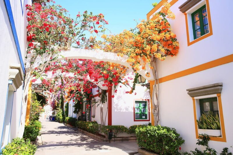 Gran Canaria: Puerto de Mogán Trip with 1-Way Boat Ride - What Makes This Tour Stand Out?