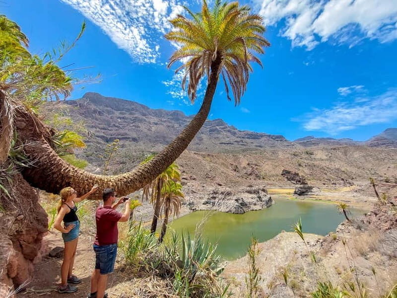 Gran Canaria: Red Gorge, Cave, Oasis Adventure Tour & Picnic - Why This Tour Offers Great Value