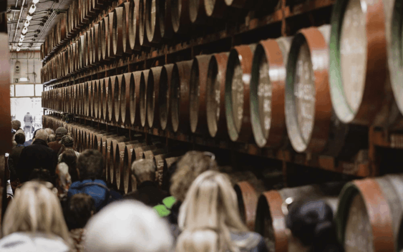 Gran Canaria: Rum, Wines and Banana Tour - Banana Museum Experience