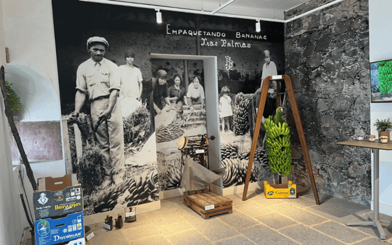 Gran Canaria: Rum, Wines and Banana Tour - Local Coffee Tasting