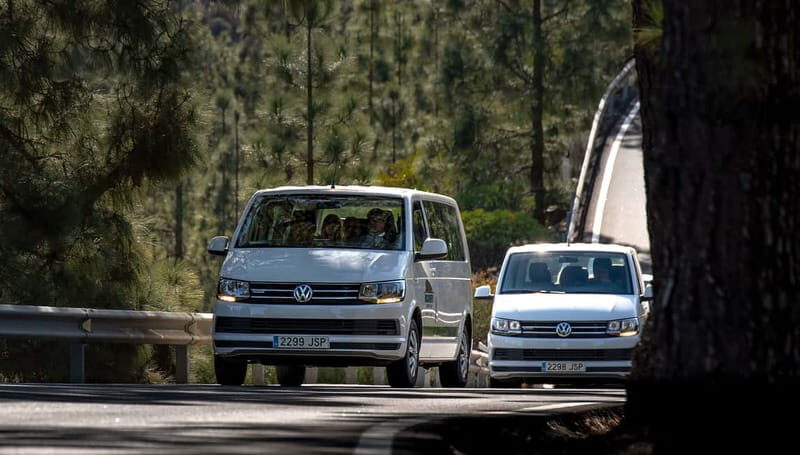 Gran Canaria: Rural Villages Guided Sightseeing Tour - Final Thoughts