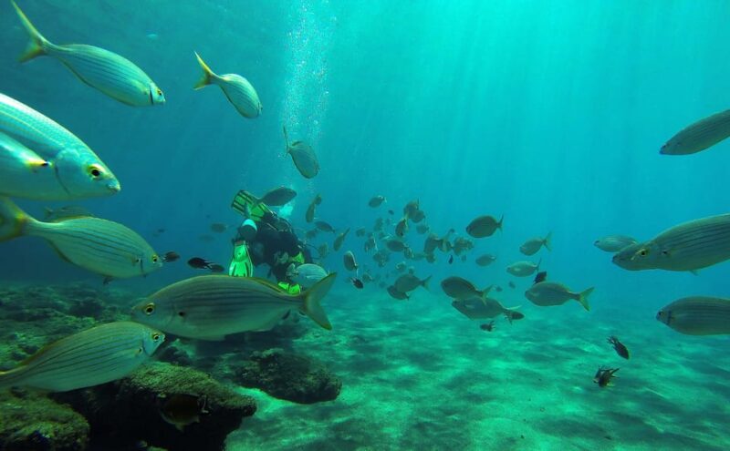 Gran Canaria Scuba Diving: 1-Day 2-Dive Package - Booking and Cancellation