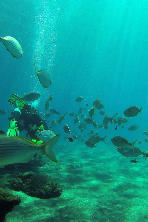 Gran Canaria Scuba Diving: 1-Day 2-Dive Package - Safety and Certification