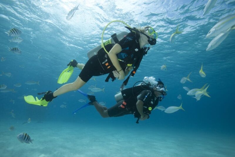 Gran Canaria: Scuba Diving for Beginners - Pricing and Inclusions