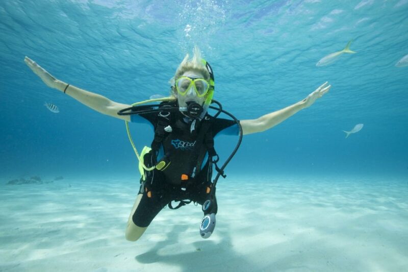 Gran Canaria: Scuba Diving for Beginners - Customer Feedback and Reviews