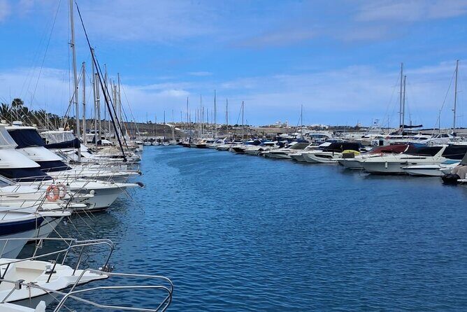 Gran Canaria Sunset Dolphin Watching Activity - Who Will Love This Tour?