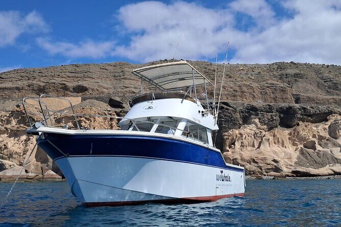 Gran Canaria Sunset Dolphin Watching Activity - Final Thoughts