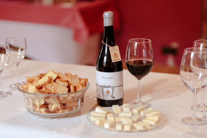 Gran Canaria: Winery Tour, Wine Museum, and Tasting - Good To Know
