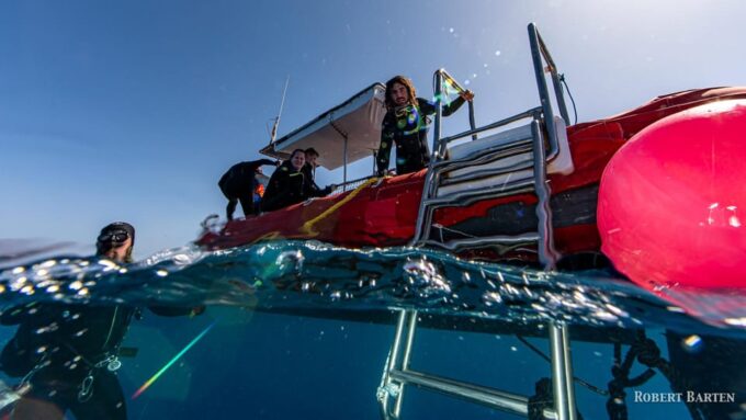 Gran Canaria:Live an Adventure and Learn to Dive With Expert - Customer Feedback and Ratings