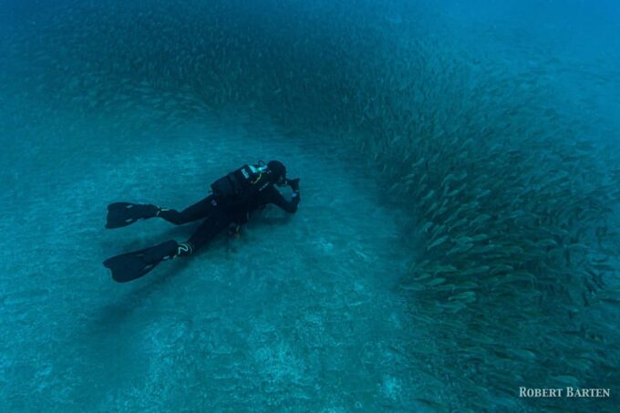 Gran Canaria:Live an Adventure and Learn to Dive With Expert - Reserve Your Spot and Embark on an Unforgettable Adventure