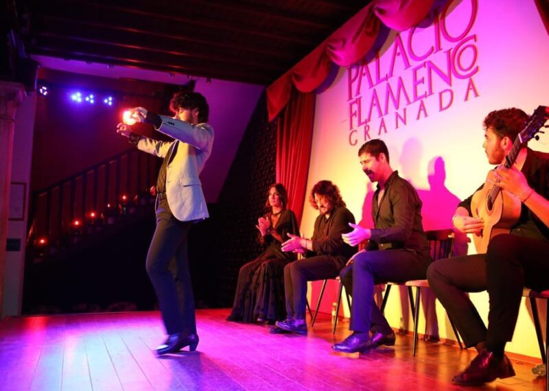 Granada: 1-Hour Traditional Flamenco Show at Palacio - Who Will Enjoy This Experience?