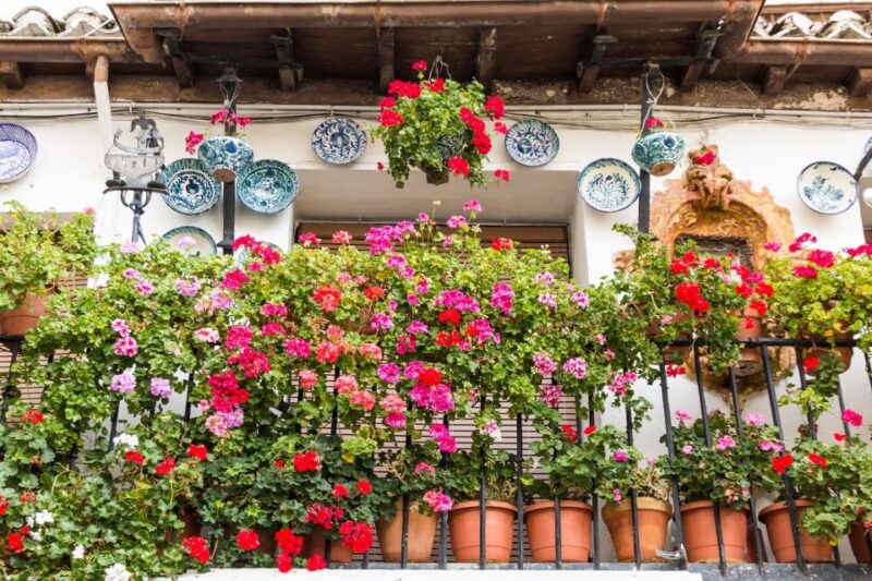 Granada: 2hour Tour of The Albaicín & Sacromonte Premium - Booking Information