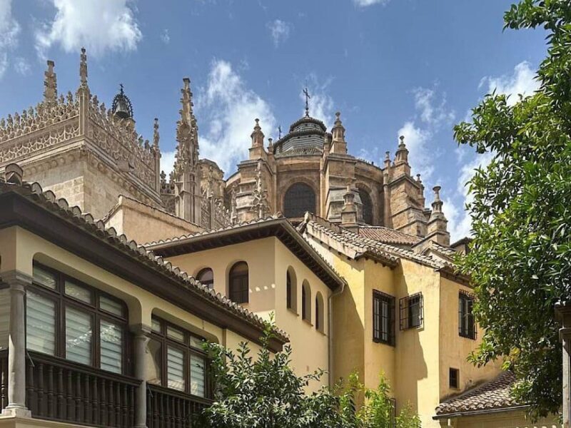 Granada: Albaicin and Sacromonte Guided Walking Tour - A Walk Through Granada’s Historic Neighborhoods