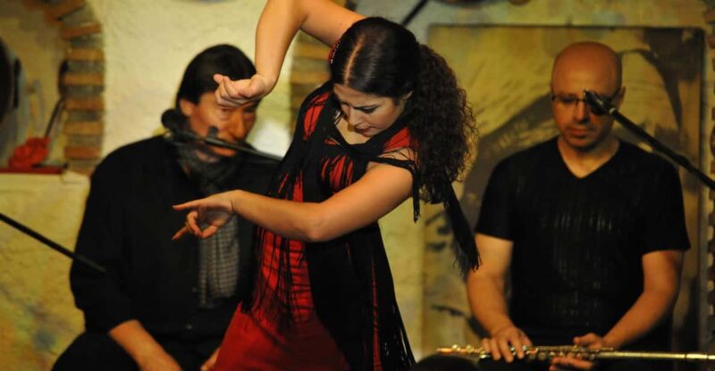 Granada: Alhambra Guided Tour and Flamenco Show - The Flamenco Show in Sacromonte