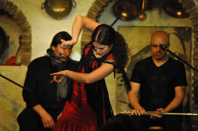 Granada: Alhambra Guided Tour and Flamenco Show - Inclusions and Exclusions