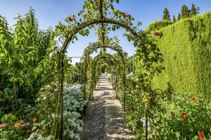 Granada: Alhambra, Nasrid, and Generalife Private Tour - Customer Feedback Examples