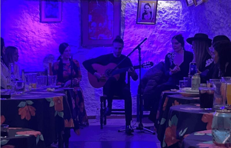 Granada: Flamenco Show in the Cave LA FARAONA - Who Should Consider This Tour?