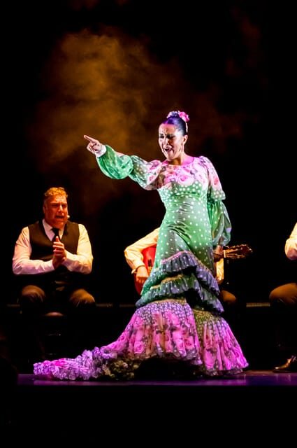 Granada: Flamenco Show "Sensaciones" at the Flamenco Theater Granada - Final Thoughts: Who Is This Tour Best For?