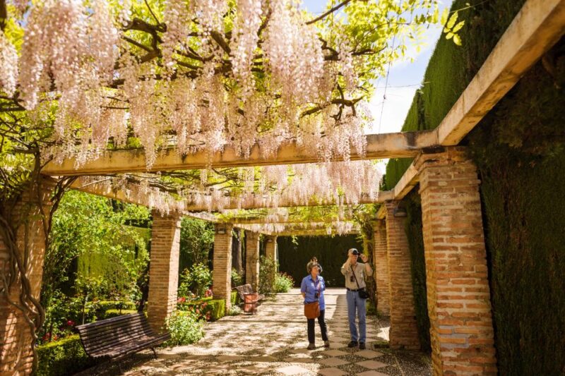Granada Full Day From Costa Del Sol - Highlights and Attractions