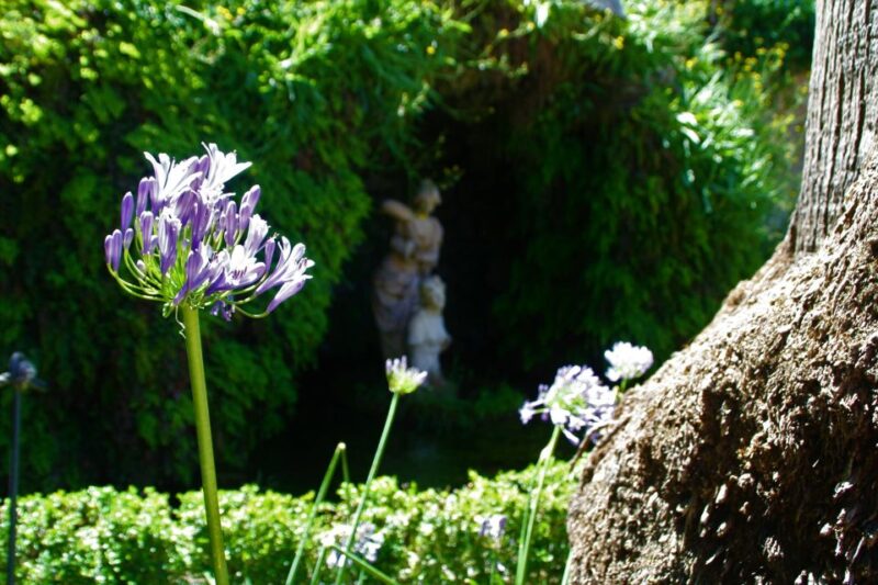 Granada: Gardens of Carmenes Guided Tour - Tour Experience