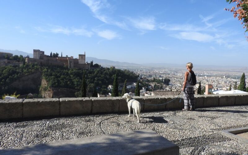 Granada: Guided Albaicín Visit With Pets - Participant Requirements
