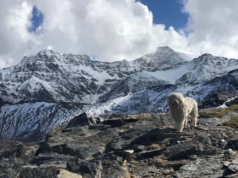 Granada: High Sierra Nevada Hiking Tour to 3000 Meters - The Descent and Reflection