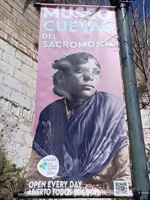 Granada: Hollywood & Sacromonte Tour - Who Should Consider This Tour?