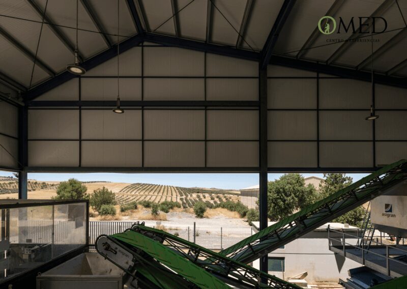 Granada in EVOO: Guided tour and unique sensorial tasting - Why This Tour Is Worth Considering