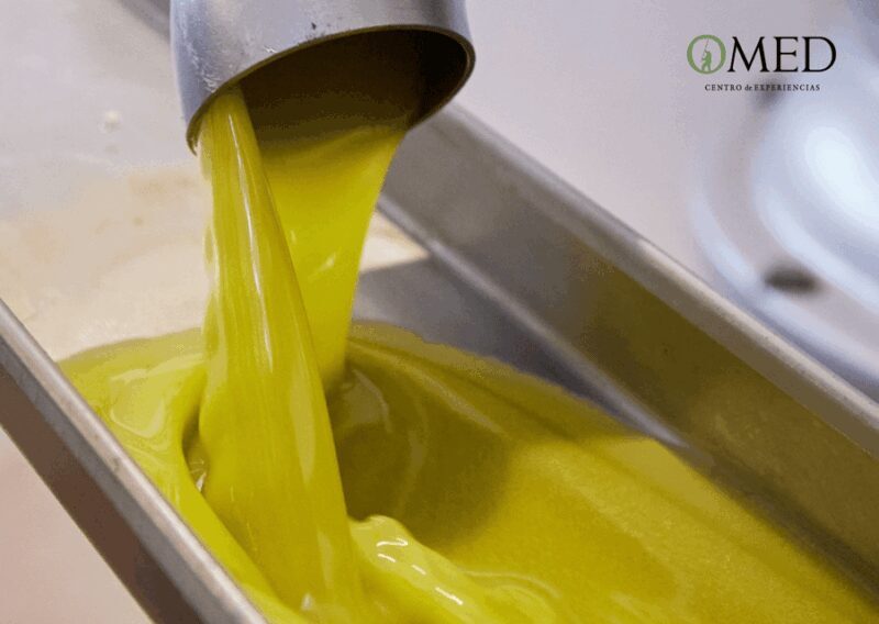 Granada in EVOO: Guided tour and unique sensorial tasting - Who Will Love This Experience?