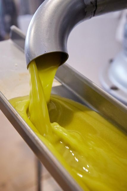 Granada in EVOO: Guided tour and unique sensorial tasting - The Sum Up: A Genuine Taste of Andalusia’s Olive Heritage