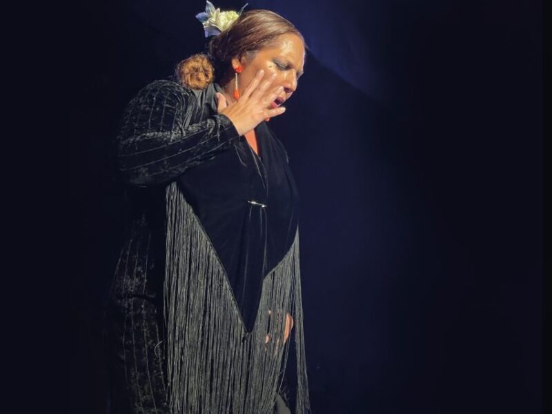 Granada: Live Flamenco Show at Casa Ana Entry Ticket - Good To Know