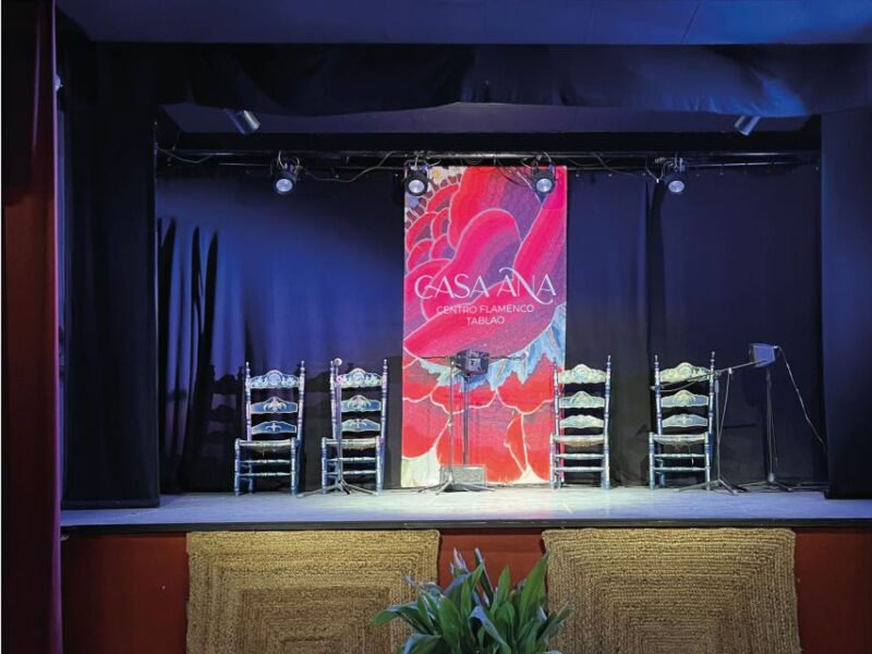 Granada: Live Flamenco Show at Casa Ana Entry Ticket - Customer Testimonials