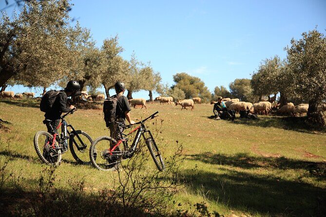 Granada: Nature, Wildlife and Authentic Villages E-bike Tour - The Ride and Its Highlights
