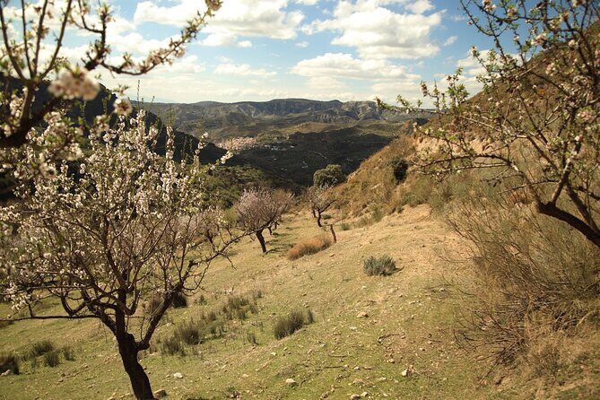 Granada: Nature, Wildlife and Authentic Villages E-bike Tour - What Makes It Special?