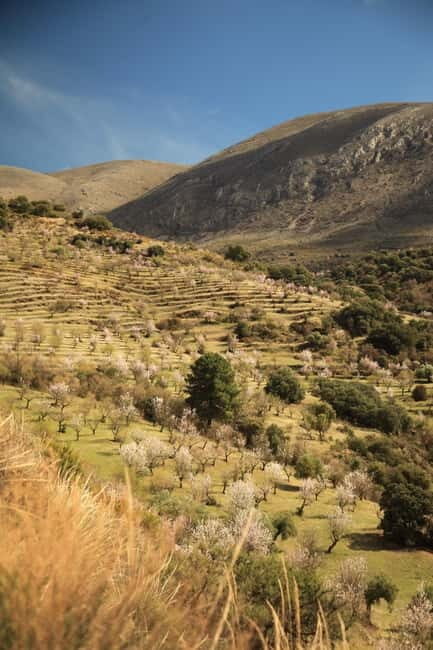 Granada: Nature, Wildlife and Authentic Villages E-bike Tour - FAQs