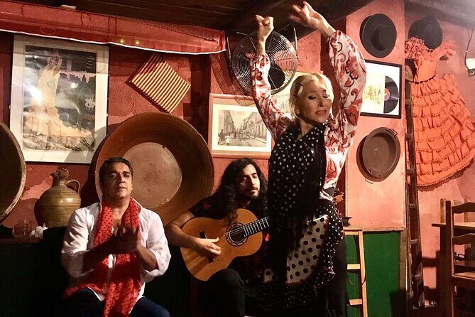 Granada Tapas Trail & Gypsy Flamenco Show - The Practical Details